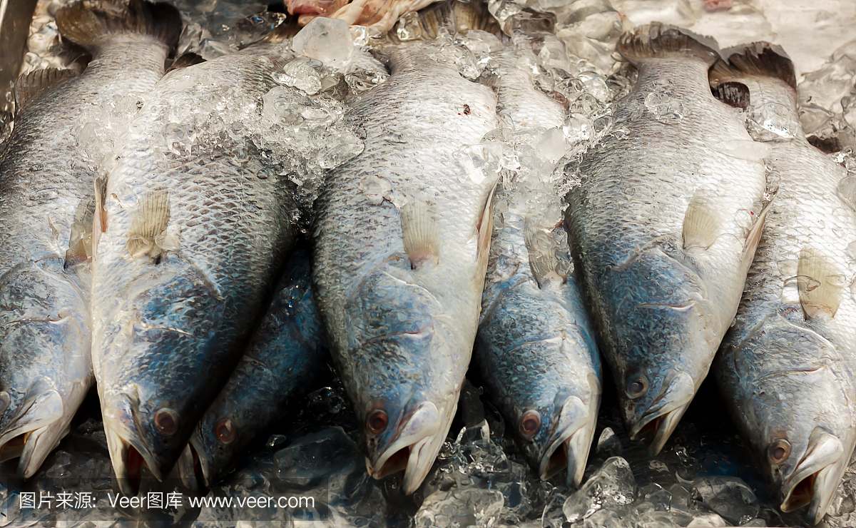 泰国新鲜市场的死鱼。